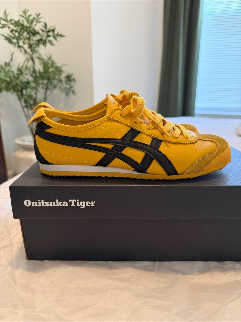 Onitsuka Tiger Mexico 66 in Yellow/Black *AUTHENTIC*